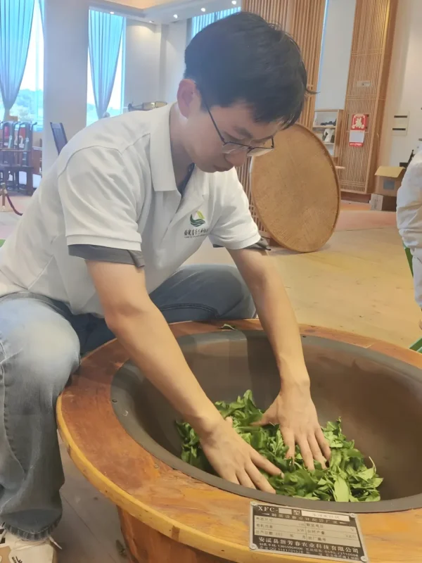 Tea master applying heat to Tieguanyin leaves, boosting flavonoids and theanine for relaxation and cognitive benefits.