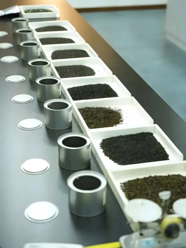 Chinese Keemun black tea displayed for tea grades testing, showcasing pure leaf quality for kung fu tea menu.