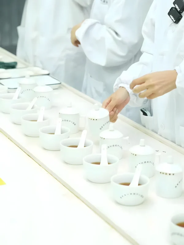 Experts evaluating Chinese Keemun black tea, ensuring its premium black tea variety for kung fu tea menu options.