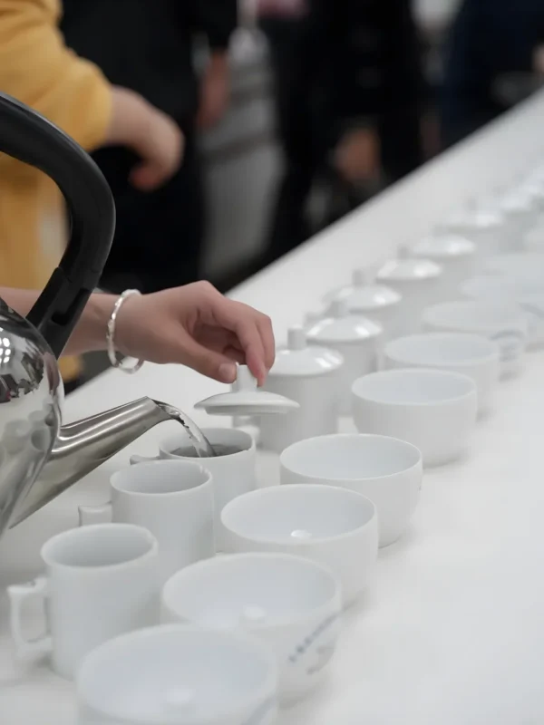 Experts conducting sensory analysis of Dragon Well tea to evaluate freshness and quality.