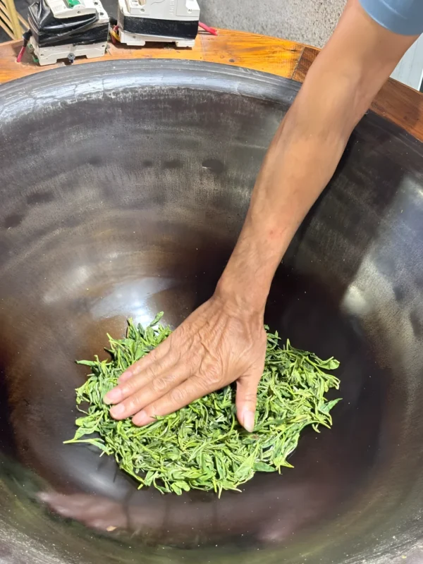 Hand-roasting Dragon Well tea leaves, highlighting tea benefits, slim detox tea, positive energy tea, and cup of calm tea.