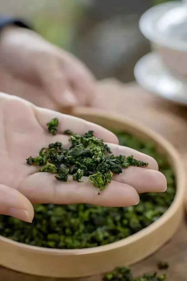 High mountain oolong tea leaves, rich in polyphenols and antioxidants, promoting skin rejuvenation, heart health, and weight loss.